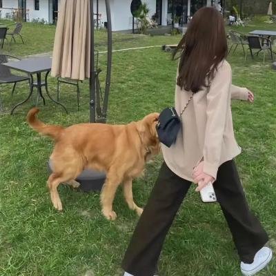 夺命守门人