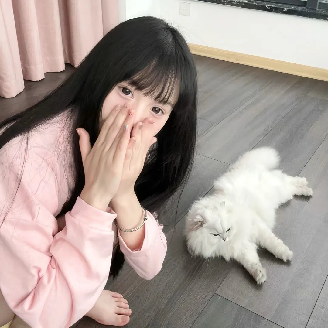 猪皮天堂